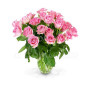 bouquet-di-24-rose-rosa