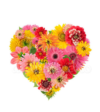 cuore-di-gerbere-e-fiori-colorati