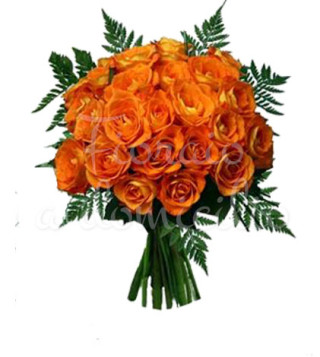 bouquet-di-24-rose-arancio