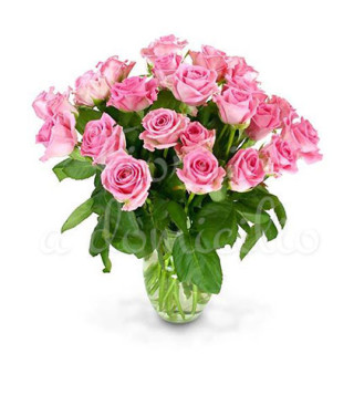 bouquet-di-24-rose-rosa