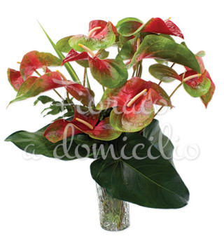 bouquet-di-anthurium