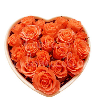 cuore-di-rose-arancio