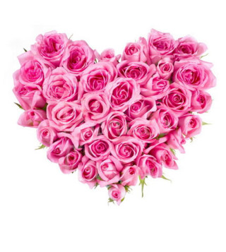 cuore-di-rose-rosa