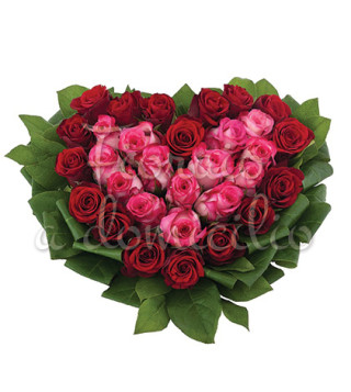 cuore-rose-rosse-rosa