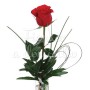 rose-rosse