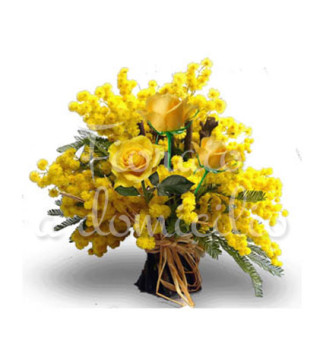 mimose-tre-gialle