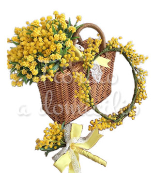 cesto-di-mimose-con-coroncina-e-mazzettino